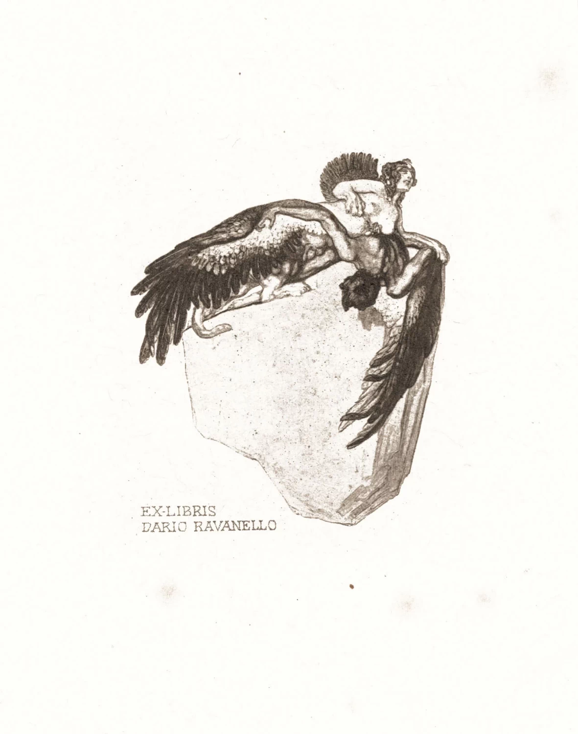 Ex libris Dario Ravanello